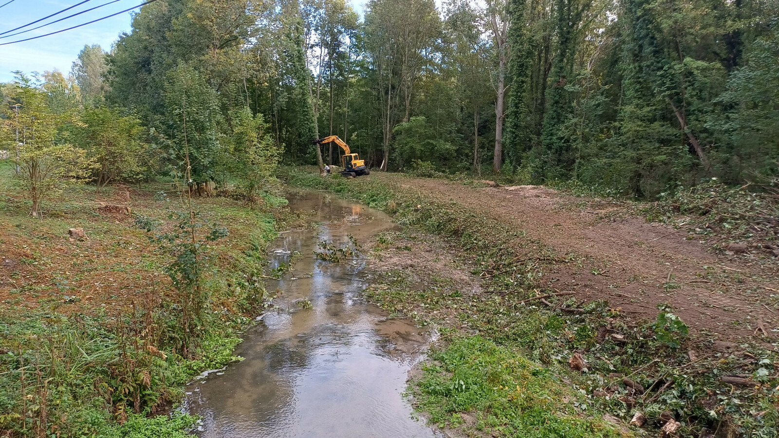 Gestion arbres merlon de curage