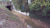 Restauration de la continuité et de l’hydromorphologie au lavoir de Nibelle</br><annee-travaux>2024</annee-travaux>