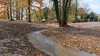 Restauration de la continuité et de l’hydromorphologie au lavoir de Nibelle</br><annee-travaux>2024</annee-travaux>
