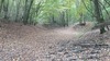 Création d’une zone d’expansion de crues sur la laye du nord en amont de Neuville aux Bois</br><annee-travaux>2024</annee-travaux>
