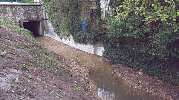 Restauration de la continuité et de l’hydromorphologie au lavoir de Nibelle</br><annee-travaux>2024</annee-travaux>