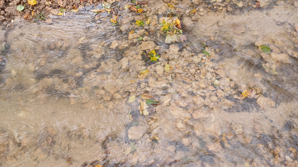 Restauration de la continuité et de l’hydromorphologie au lavoir de Nibelle</br><annee-travaux>2024</annee-travaux>