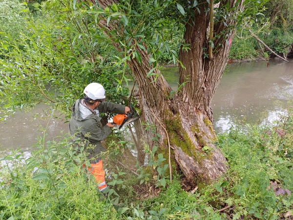 Travaux de restauration de l’Œuf au Pont de l’Etoile à Pithiviers le Vieil</br><annee-travaux>2025</annee-travaux>