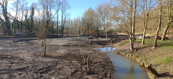 Travaux de restauration de l’Œuf à l’étang communal de Pithiviers le Vieil</br><annee-travaux>2025</annee-travaux>