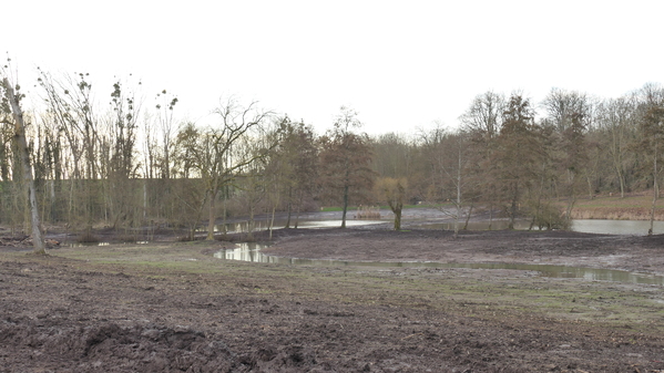 Travaux de restauration de l’Œuf à l’étang communal de Pithiviers le Vieil</br><annee-travaux>2025</annee-travaux>