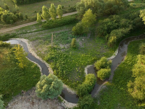 Travaux de restauration de la Rimarde au pont de la Chaussie à Courcelles le Roi</br><annee-travaux>2026</annee-travaux>